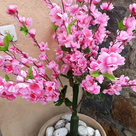 Holiday Casa Stefi Piazzogna