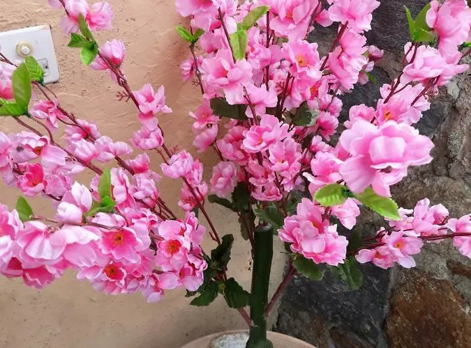 Holiday Casa Stefi Piazzogna