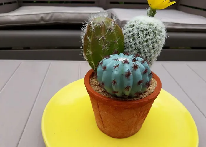 アパート Holiday Casa Stefi Piazzogna